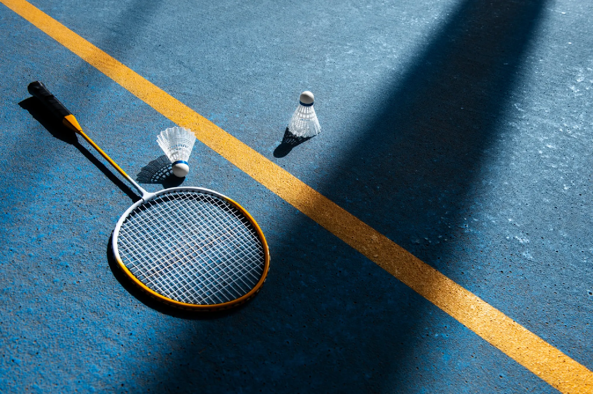 Badminton Court