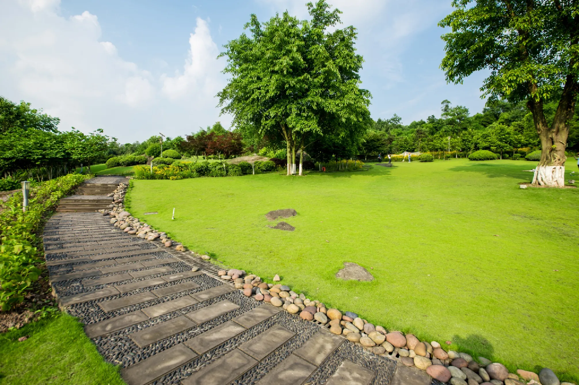 Landscaped Garden