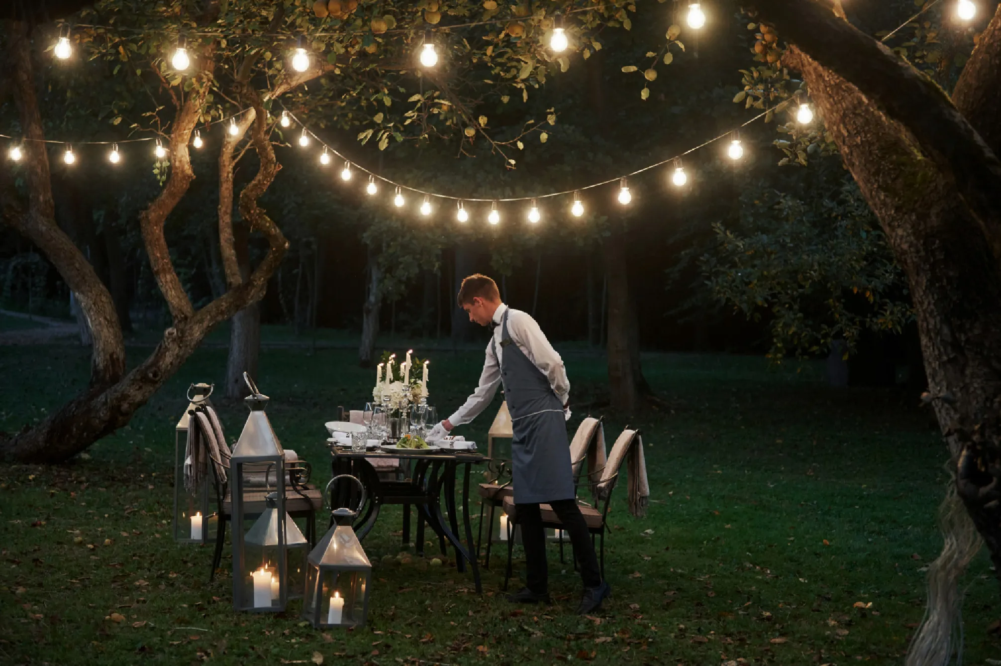 Party Lawn