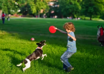 Pet Park