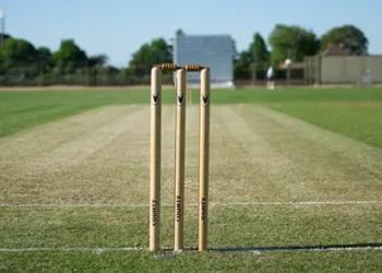 Cricket Pitch