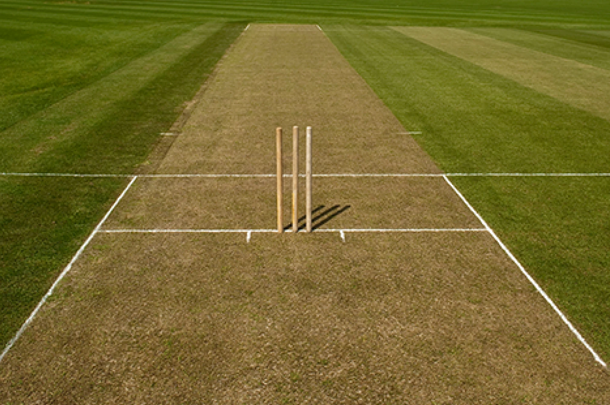 Cricket Pitch